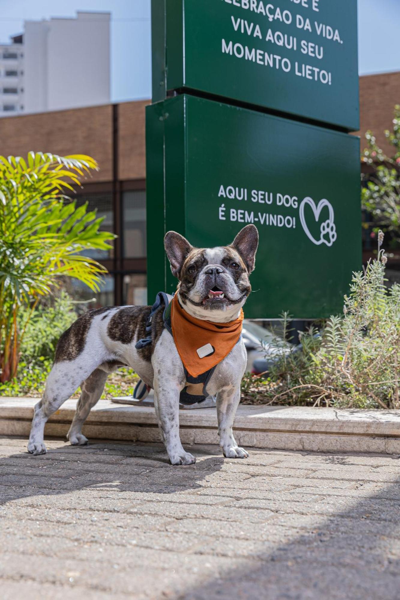 Hotel Lieto Pocos de Caldas Ngoại thất bức ảnh
